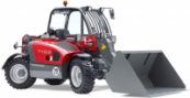 weidemann
